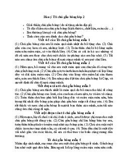 Viết 4-5 câu tả chú gấu bông lớp 2 | Tập làm văn lớp 2 | Chân trời sáng tạo