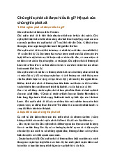 Chủ nghĩa phát xít được hiểu là gì? Hệ quả của chủ nghĩa phát xít