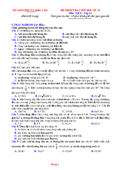 Đề ôn thi HK2 Lý 11 năm 2022 (có đáp án) - Đề 1