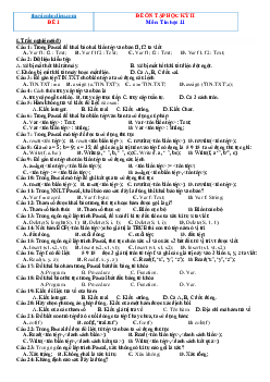Bộ đề ôn thi học kỳ 2 môn Tin 11( có đáp án)