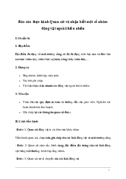 Giải KHTN Lớp 6 Bài 37: Thực hành: Quan sát và nhận biết một số nhóm động vật ngoài thiên nhiên | Kết nối tri thức