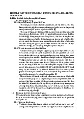 Tiểu luận về Thương hiệu Cocoon | Đại học Hà Tĩnh