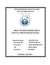 Thực tập quản trị bán hàng Công ty cổ phần bánh kẹo Hải Hà | Đại học Kinh tế kỹ thuật công nghiệp