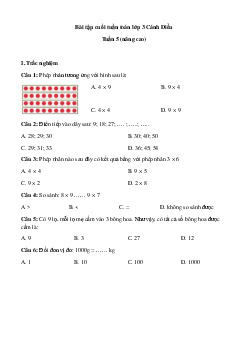 Phiếu bài tập cuối tuần Toán lớp 3 - Tuần 5 (nâng cao) | Cánh Diều