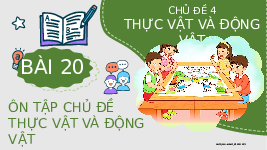 Giáo án điện tử Tự nhiên và Xã hội 2 Bài 20 Kết nối tri thức: Ôn tập chủ đề Thực vật và động vật