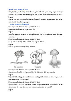 Giải sách giáo khoa môn Khoa học tự nhiên 6 Bài 28: Nấm | Chân trời sáng tạo