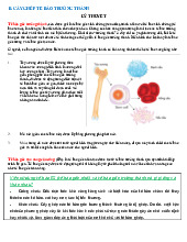 Lý thuyết Tế bào gốc -  Đại học Y dược Thành phố Hồ Chí Minh