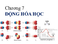 Chương 7: Động hóa học | Bài giảng môn Quá trình thiết bị | Đại học Bách khoa hà nội