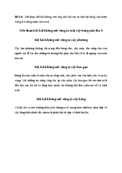 Viết đoạn kết bài không mở rộng tả một cây bóng mát được trồng ở trường hoặc nơi em ở Tiếng việt 4 Chân trời sáng tạo