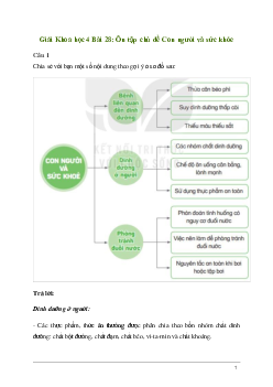 Giải Khoa học lớp 4 Bài 28: Ôn tập chủ đề Con người và sức khỏe | Kết nối tri thức