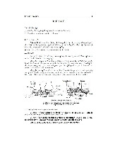 Biểu mô mô phôi 1: Tổng quan và phân loại cấu trúc | Đại Học Y Dược Huế