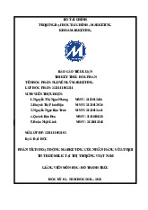 Tiểu luận môn Marketing căn bản | Trường Quốc tế - Đại học Quốc gia Hà Nội