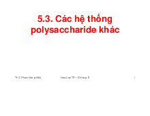 Hóa Học Thực Phẩm Chương 5: Các Hệ Thống Polysaccharide Khác Môn Hóa sinh học | Trường Đại học Công nghiệp Thành phố Hồ Chí Minh