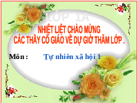 Giáo án điện tử Tự nhiên và xã hội 1 bài 26 Chân trời sáng tạo : Em vận động và nghỉ ngơi