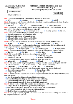 TOP 3 đề kiểm tra cuối kì II môn Sinh học 12 năm 2022 - 2023 tỉnh Quảng Nam (có đáp án)