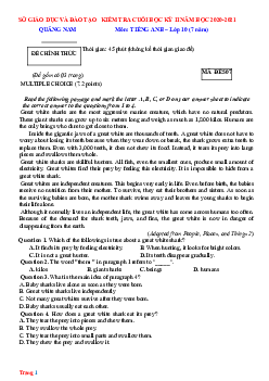 Đề thi HK2 môn Tiếng Anh 10 Sở GD Quảng Nam 2020-2021 (có đáp án)