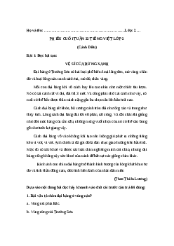 Phiếu Bài tập cuối tuần tiếng Việt lớp 2 học kì 2 | Cánh diều Tuần 22 cơ bản
