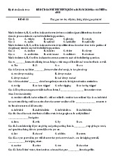 Đề chuẩn Tiếng Anh 2020 - Đề 22 có đáp án