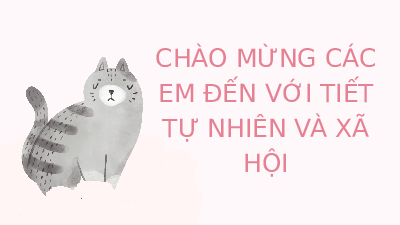 Giáo án điện tử Tự nhiên và Xã hội 2 Bài 17 Kết nối tri thức: Động vật sống ở đâu?