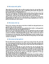 KHÁI NIỆM VỀ NHÂN PHẨM, DANH DỰ VÀ BẠO LỰC NGÔN TỪ
