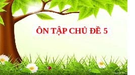Giáo án điện tử Khoa học tự nhiên 6 Chủ đề 5 Chân trời sáng tạo : Ôn tập