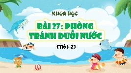 Giáo án điện tử Khoa học 4 Bài 27 Cánh diều: Phòng trách đuối nước (tiết 2)