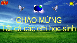 Giáo án điện tử Khoa học tự nhiên 7 bài 29 Chân trời sáng tạo : Trao đổi nước và các chất dinh dưỡng ở thực vật