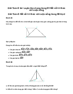 Giải Toán 6 Luyện tập chung trang 65 | Kết nối tri thức