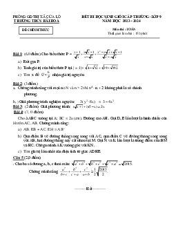 Đề học sinh giỏi Toán 9 năm 2023 – 2024 trường THCS Hải Hòa – Nghệ An