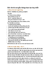 Bài văn tả con gấu bông chọn lọc hay nhất