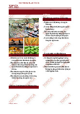 Bài 6: Thị trường độc quyền thuần túy môn Kinh tế vi mô | Trường Đại học Kinh Tế Quốc Dân