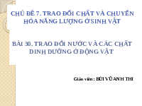 Giáo án điện tử Khoa học tự nhiên 7 bài 30 Chân trời sáng tạo : Trao đổi nước và các chất dinh dưỡng ở động vật