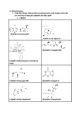 Ôn tập thi kết thúc Dược liệu 2: Khung cấu trúc hóa học và tính chất của. Môn Dược liệu | Đại học Trường Đại học Phenika.