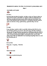 Tìm hiểu chung về Công ty cổ phần tập đoàn Hoa Sen phần 2 môn Marketing cơ bản  | Học viện Nông nghiệp Việt Nam