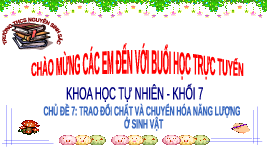 Giáo án điện tử Khoa học tự nhiên 7 bài 22 Chân trời sáng tạo : Trao đổi hóa chất và chuyển hóa năng lượng ở sinh vật