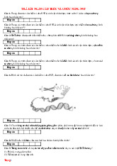 10 Bài Tập Trả Lời Ngắn Cấu Trúc Và Chức Năng Nhiễm Sắc Thể Sinh 12 Giải Chi Tiết