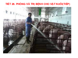 Bài giảng điện tử môn Công nghệ 7 Bài 10: Phòng và trị bệnh cho vật nuôi (Tiết 26) | Cánh diều