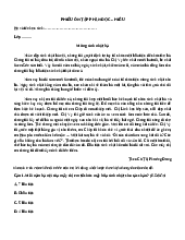 Phiếu ôn tập phần đọc hiểu | Tiếng Việt lớp 5