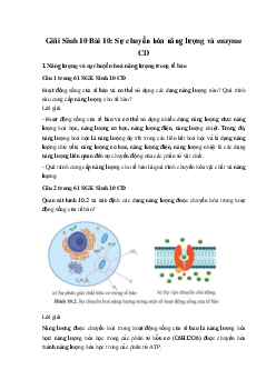 Giải Sinh 10 Bài 10: Sự chuyển hóa năng lượng và enzyme | Cánh diều