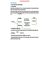 Khái niệm và Cấu trúc Logic trong Logic HỌC ĐẠI CƯƠNG