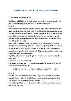 Giải SGK Sinh học 11 Cánh Diều bài 5: Hô hấp ở thực vật