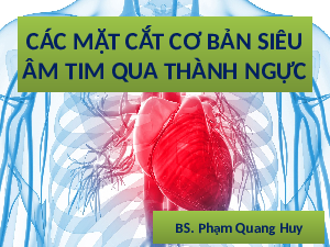 Các mặt cắt cơ bản siêu âm tim qua thành ngực | BS. Phạm Quang Huy