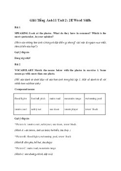 Giải Tiếng Anh 11 Unit 2: 2E Word Skills | Friends Global