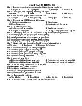 Trắc nghiệm giải phẫu hệ thống | Đại học Y Dược Thành phố Hồ Chí Minh
