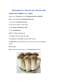 Đề thi giữa kì 2 môn Khoa học lớp 4 Kết nối tri thức