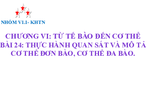 BÀI 24: THỰC HÀNH QUAN SÁT VÀ MÔ TẢ CƠ THỂ ĐƠN BÀO, CƠ THỂ ĐA BÀO. | Bài giảng PowerPoint Khoa học tự nhiên 6 | Kết nối tri thức