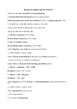 Trắc nghiệm Sinh học 10 bài 15: Hô hấp tế bào