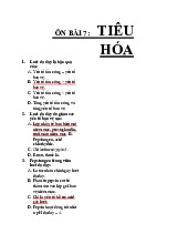 Ôn trắc nghiệm Tiêu hóa | Đại học Nguyễn Tất Thành