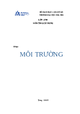 Báo cáo Đề tài: Môi trường môn Tin học dự bị | Trường Đại học Hoa Sen