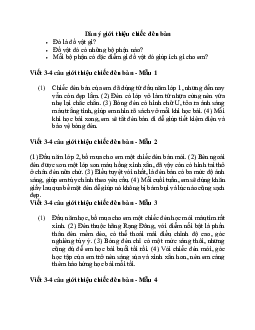 Viết 3-4 câu giới thiệu chiếc đèn bàn | Tập làm văn lớp 2 | Chân trời sáng tạo